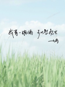 描述美丽风景的意境的句子