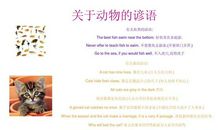 动物歇后语有哪些