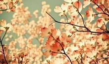 反心灵鸡汤50句