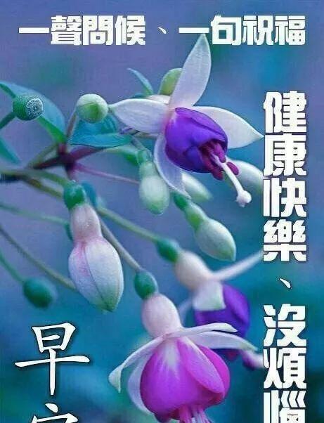 冬季新年护理信息