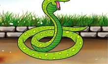 鸭子踩水歇后语