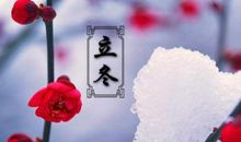 报答父母的谚语有哪些