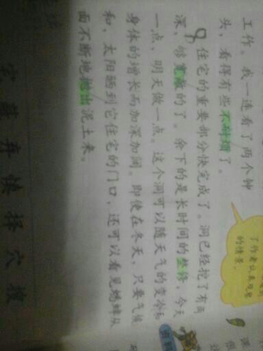 一，二年级拟人化句子