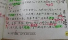 优秀拟人句20个