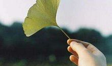 生命里没有真正渴望的人，从来也不会知道失去的滋味