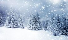 冬天景色的比喻句