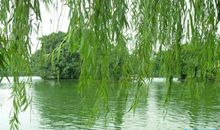 优美风景比喻句