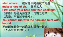 十二生肖的英语谚语