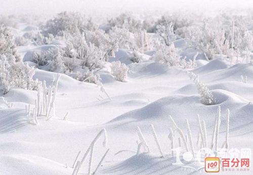 关于初雪的句子