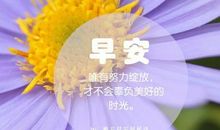 2019早安励志心语