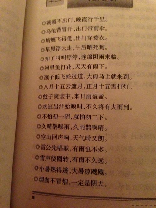 关于雾的谚语