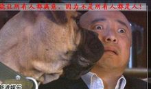 东北搞笑经典语录