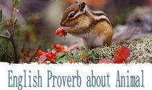 关于动物的谚语英文