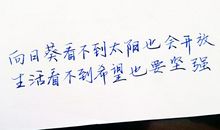 毕业青春的句子