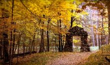 写秋天的优美句子