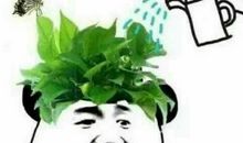 精彩的朋友圈说说