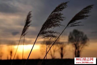 因缺少家而美丽的简短句子