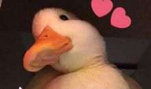 很甜的朋友圈说说短