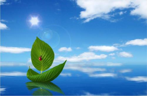 形容沉着冷静的句子