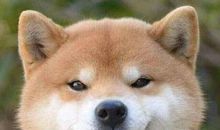 祝福自己生日唯美句子