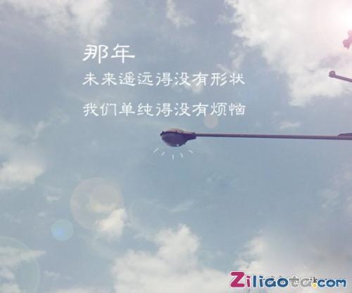 关于小学毕业的审美句子