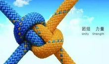 关于团结的谚语英文