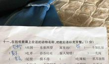 歇后语填空及答案