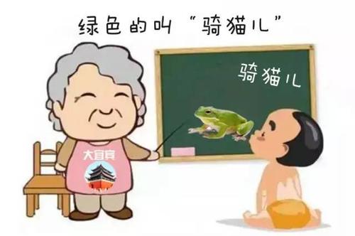 奶奶对孙子的愿望
