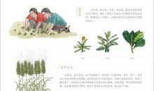 表示气象物候的谚语