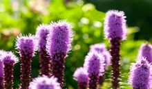 qq空间经典语句