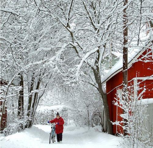 一句话描述寒冷的冬天