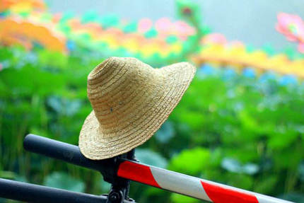 在平凡的生活中，发现世界的智慧和美丽1