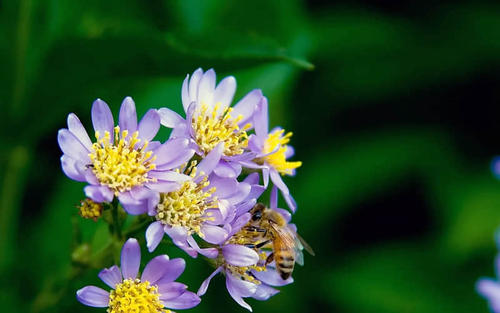 最小的经典报价2020