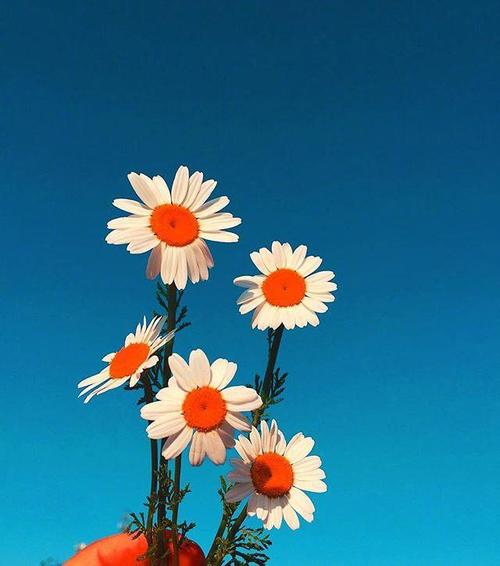 简短的感性句子