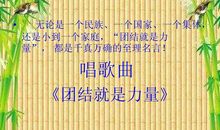 团结就是力量的谚语