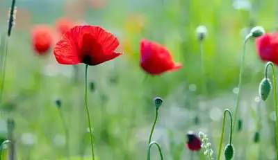 生活总是把人逼到死胡同，但我们仍然必须努力工作才能生存1