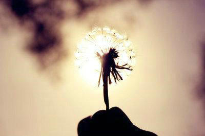 在平凡的生活中，发现世界的智慧和美丽