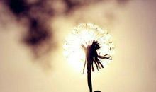 在平淡生活中，发现世间的妙趣与美好