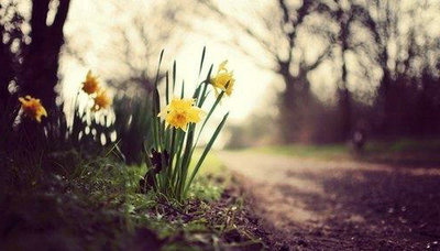 生活总是把人们逼到死胡同，但我们仍然必须努力工作才能生存