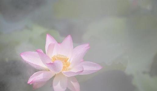 冷静和冷静的经典报价