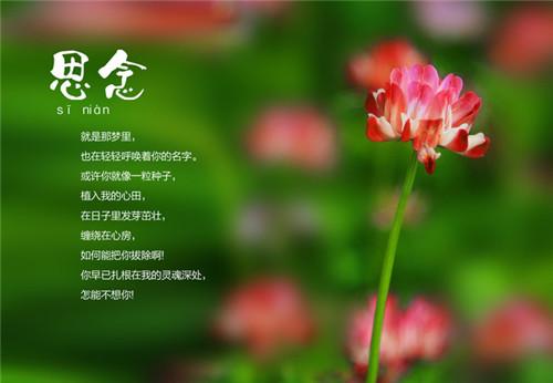 描写相思的句子