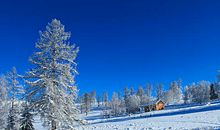 冬天景色的好词好句