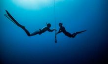 关于自由座右铭