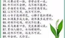 表示精彩的歇后语