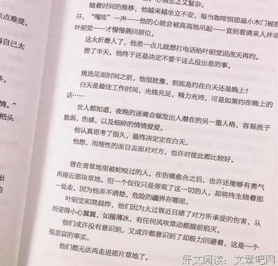 独木舟小说的经典语录