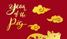 2019猪年新春祝福语