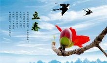 关于节气的农业谚语