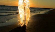 励志的句子致自己图片：你相信你行，你就活力无穷