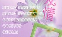 描写友情的诗句大全