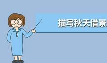 描写借物抒情的诗句